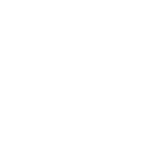 young entrepreneurs