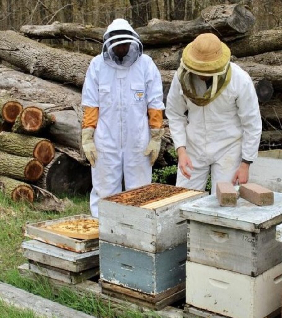 Beekeepers tending to a hive of bees